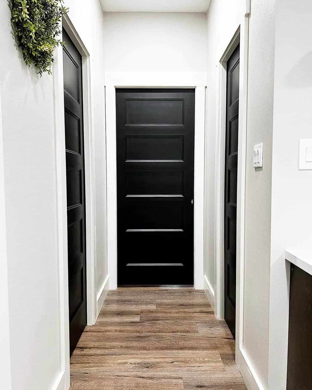 06 of  Black 5 Panel Interior Doors in Hallway