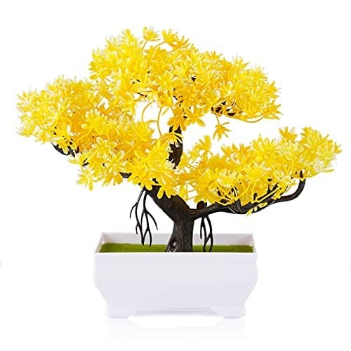 18 of  Yellow Bonsai Tree