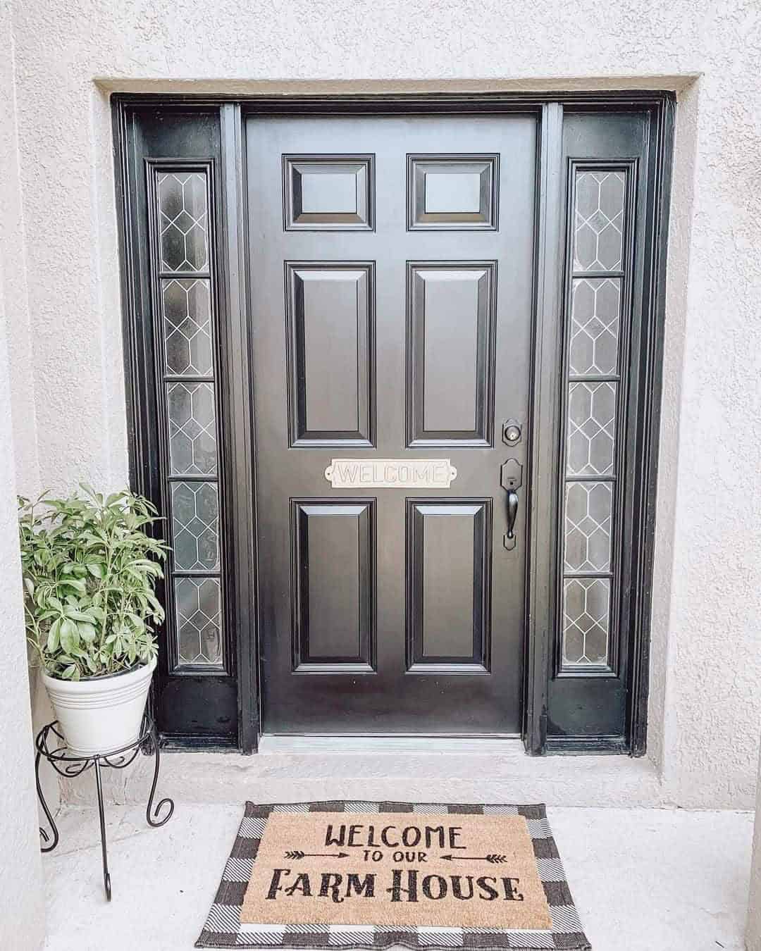 16 of  Black Hardware on Black 6-Panel Front Door with Sidelights